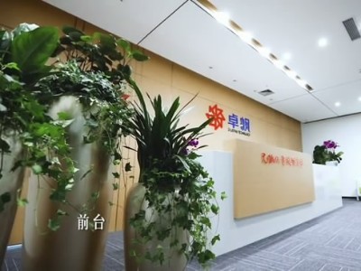 福田办公室装饰装修-绿植租赁案例
