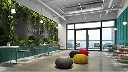 办公室风水学 | 办公室摆什么绿植可以招财旺财？