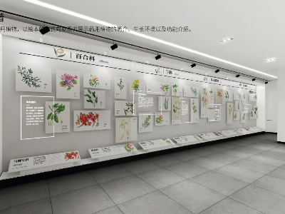 赣南药用植物博物馆装修设计_清新大气的展厅设计展示展览效果